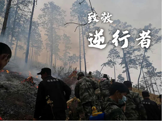 西昌森林大火一線，凌宇攪拌車緊急變身運水車