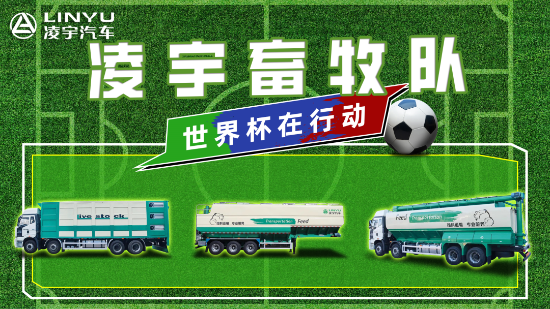 奪冠世界杯！你注意到這支球隊了嗎？